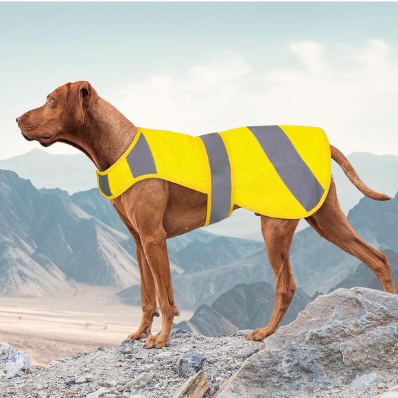 Dog Vest High Visibility Safety, Dog Hunting Vest, Dog Jacket Soft Adjustable - Picture 1 of 11